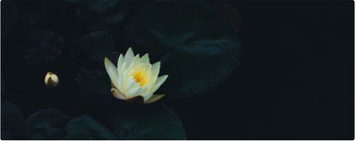 Mindfulness: Our Strongest Defense Against Coronavirus